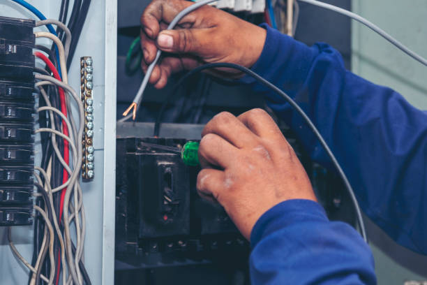 Best Electrical Upgrades for Homes  in Mount Olive, NC
