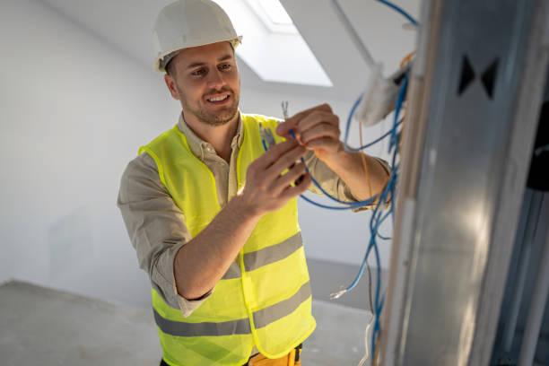 Best Electric Panel Repair  in Mount Olive, NC